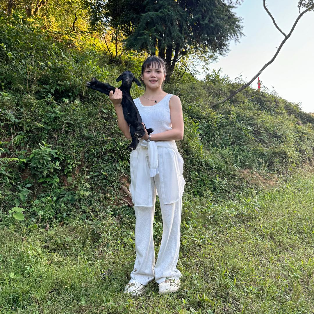 包子妹
