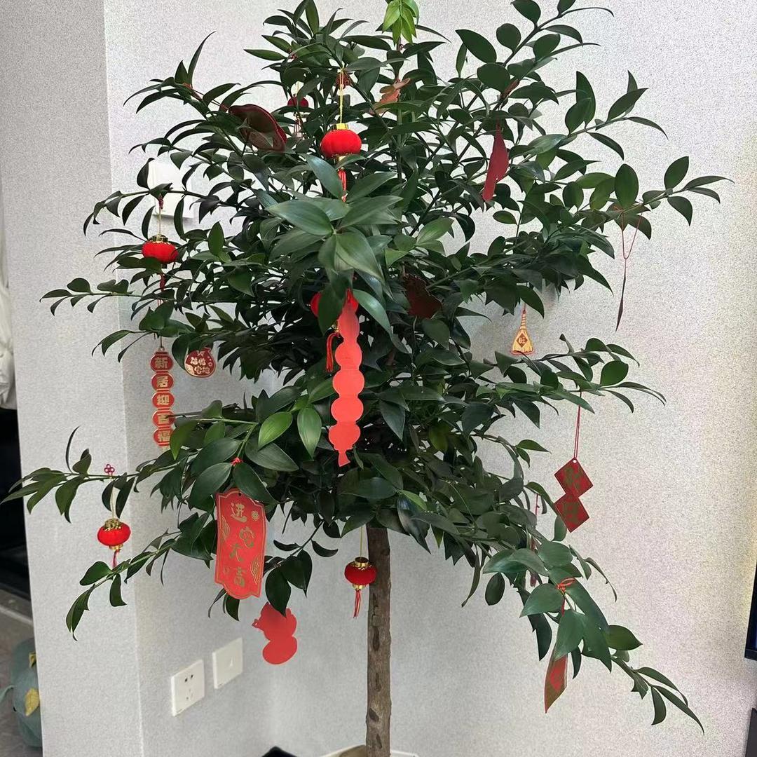 永福花之家