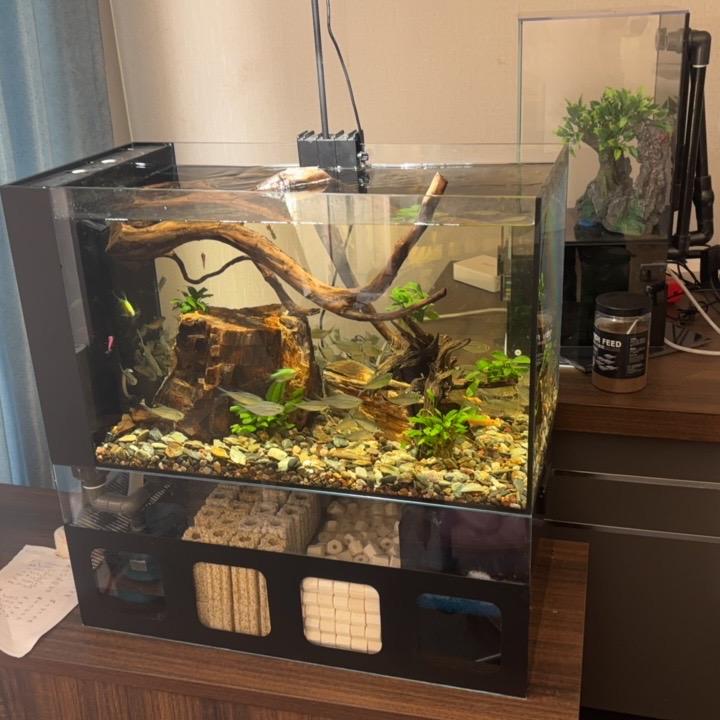 熠龙鱼缸工厂小缸店