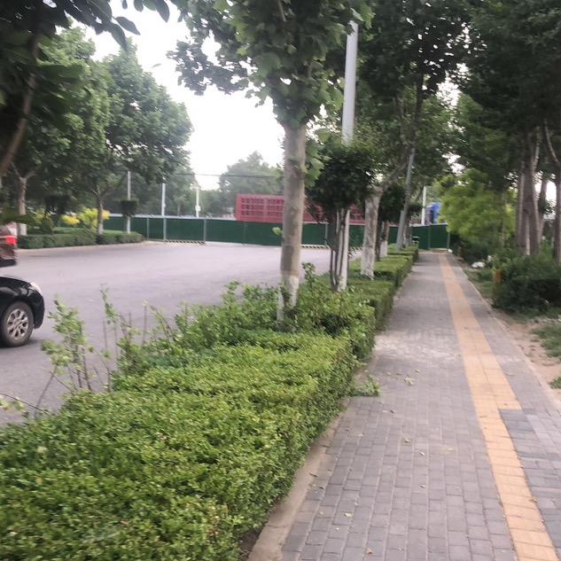 简单，大叔，