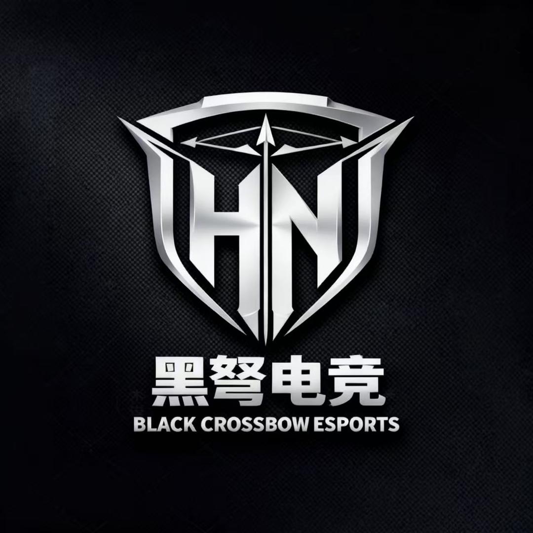 黑驽工作室 （三角洲行动）