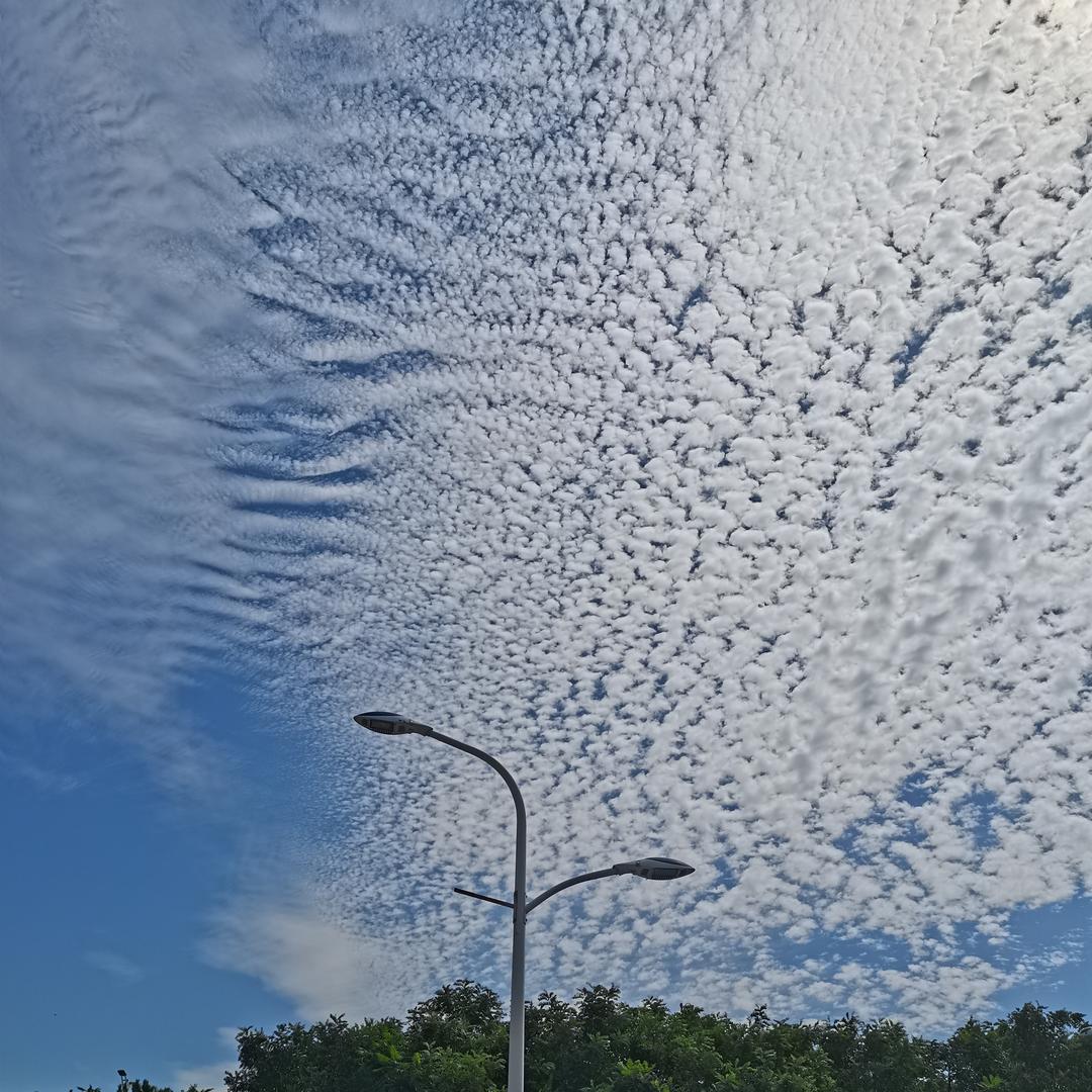 河马四季优选