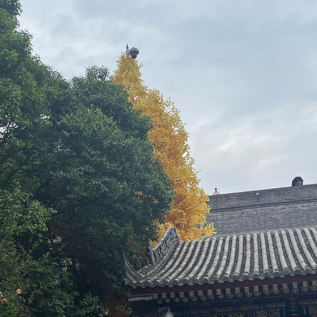 慢漫丶