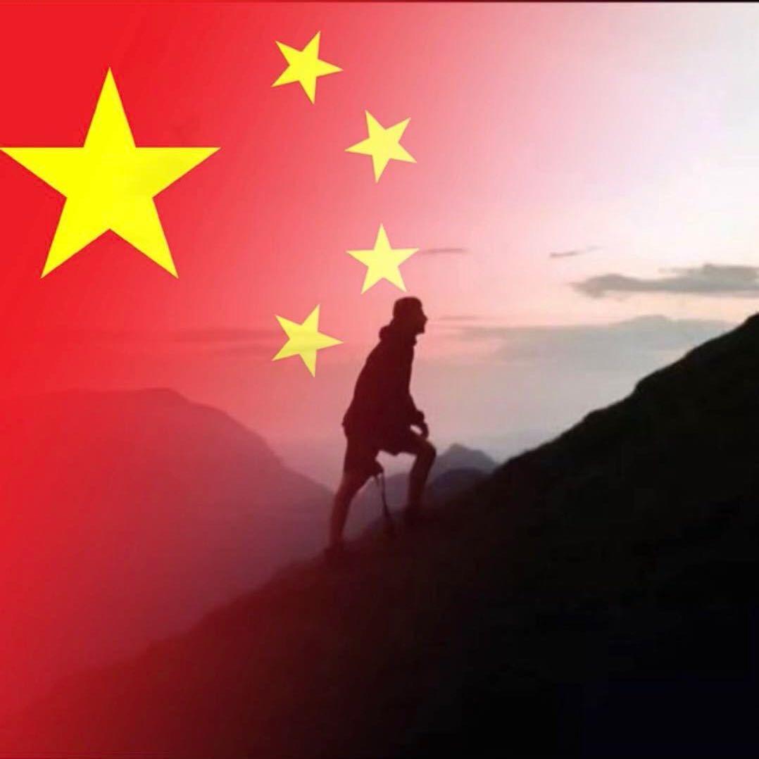 八飞特