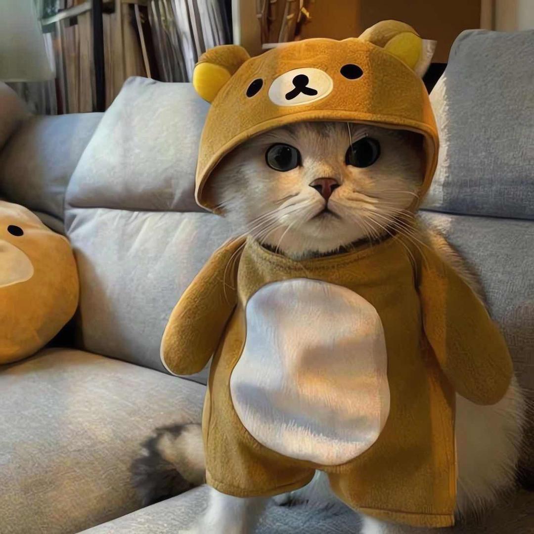 小伙伴。