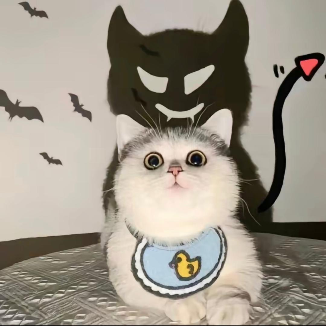 独孤小羊