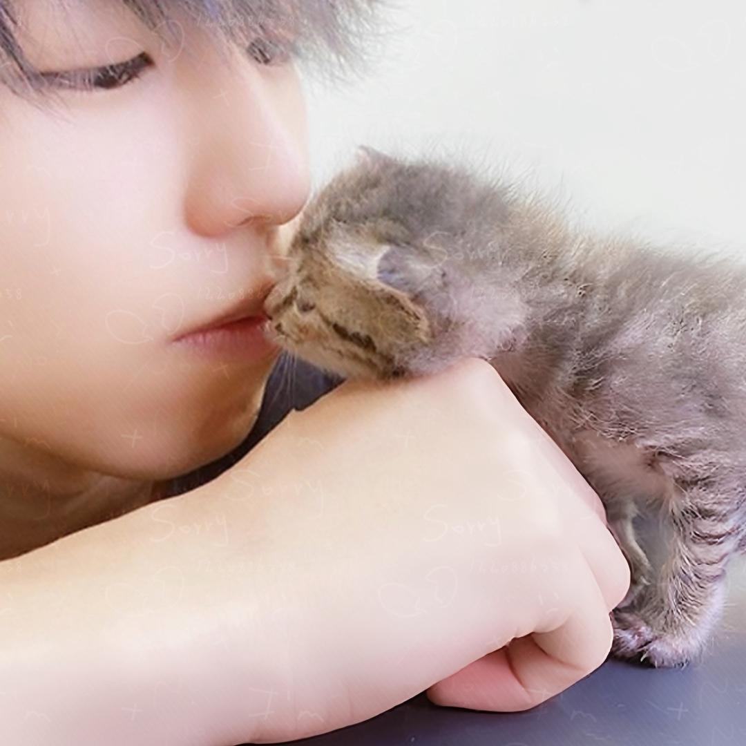 要来一口蛋挞吗