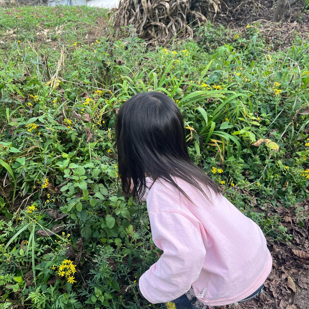 痛苦不是错🍎🍎🍎