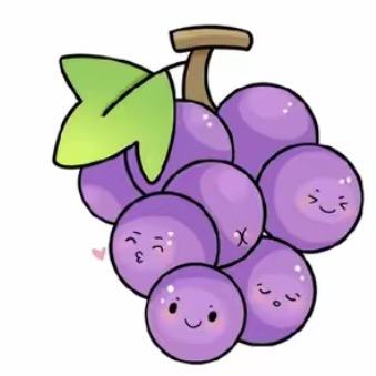 葡萄皮