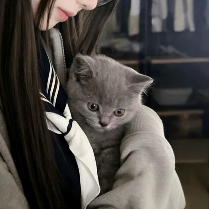 发现男友是gay含泪换上男装和他高几