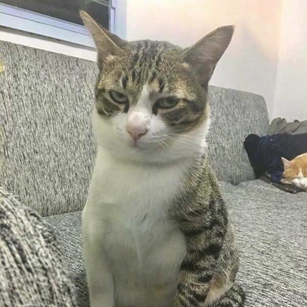 美食博主