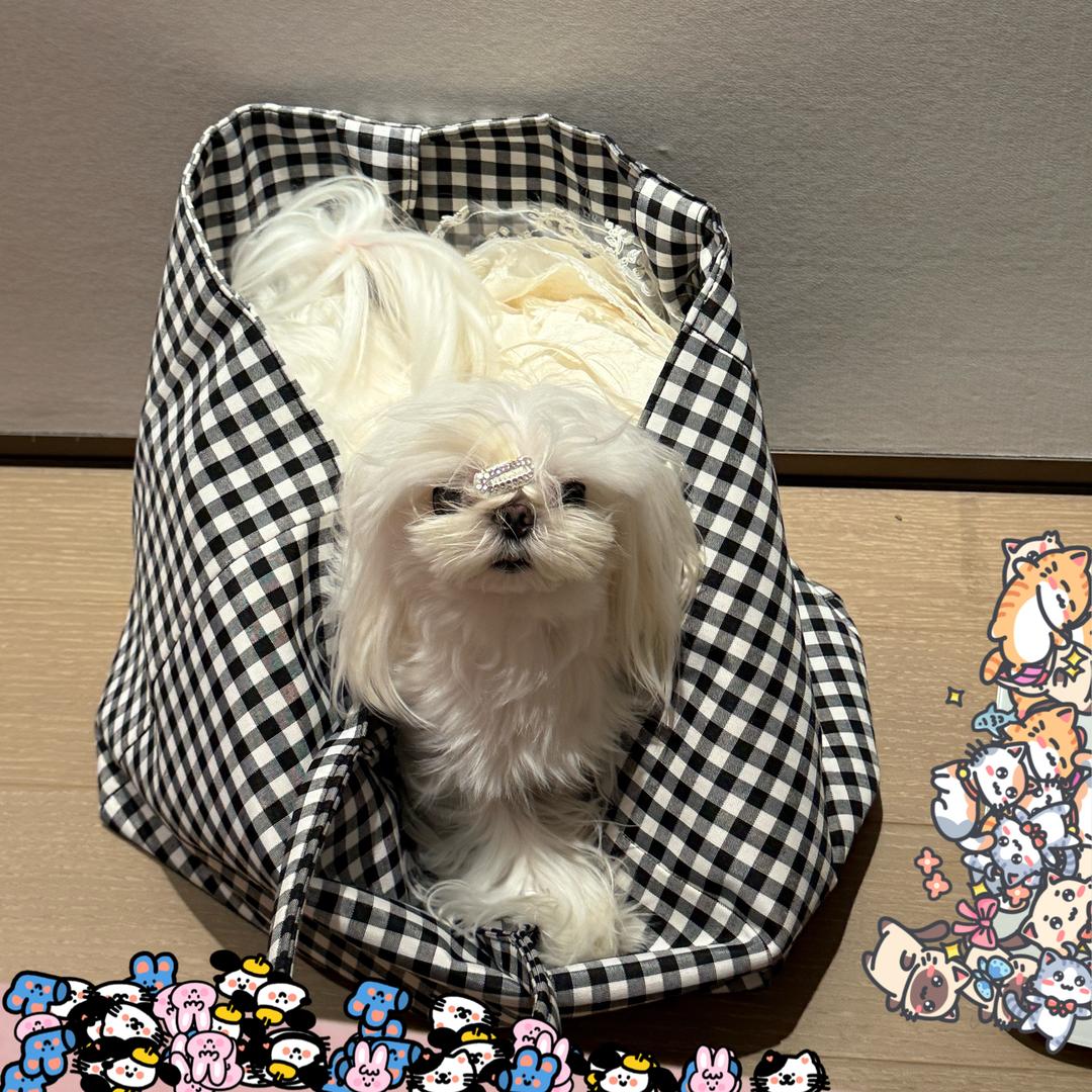 。。。。。。。。。。