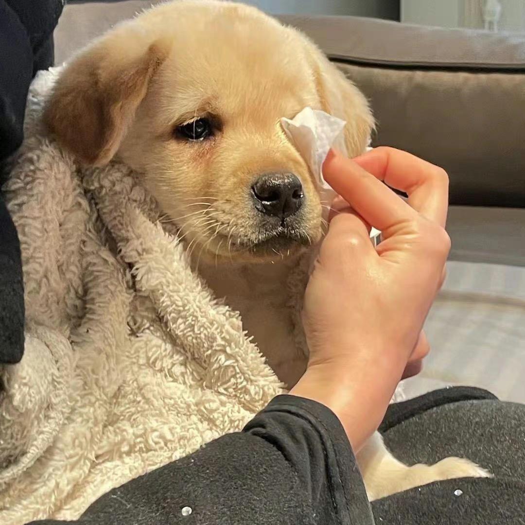 😴