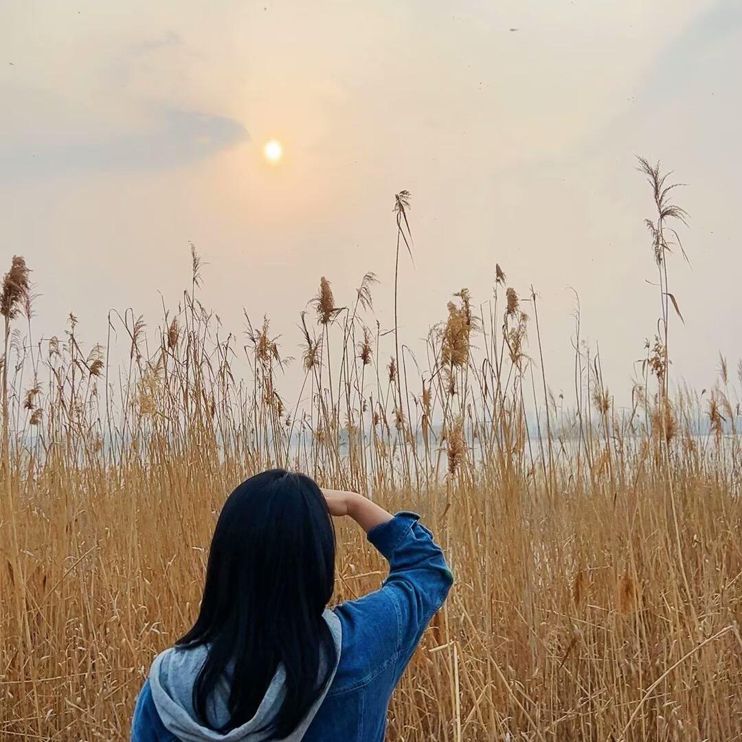 没脑子的小汤圆