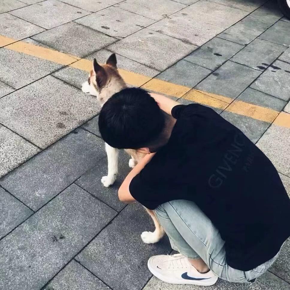 不動情