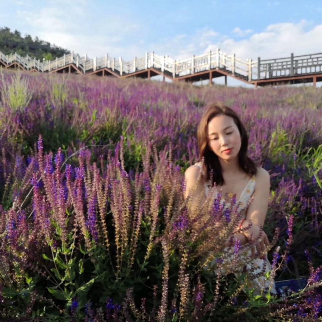 宋你一朵小红花