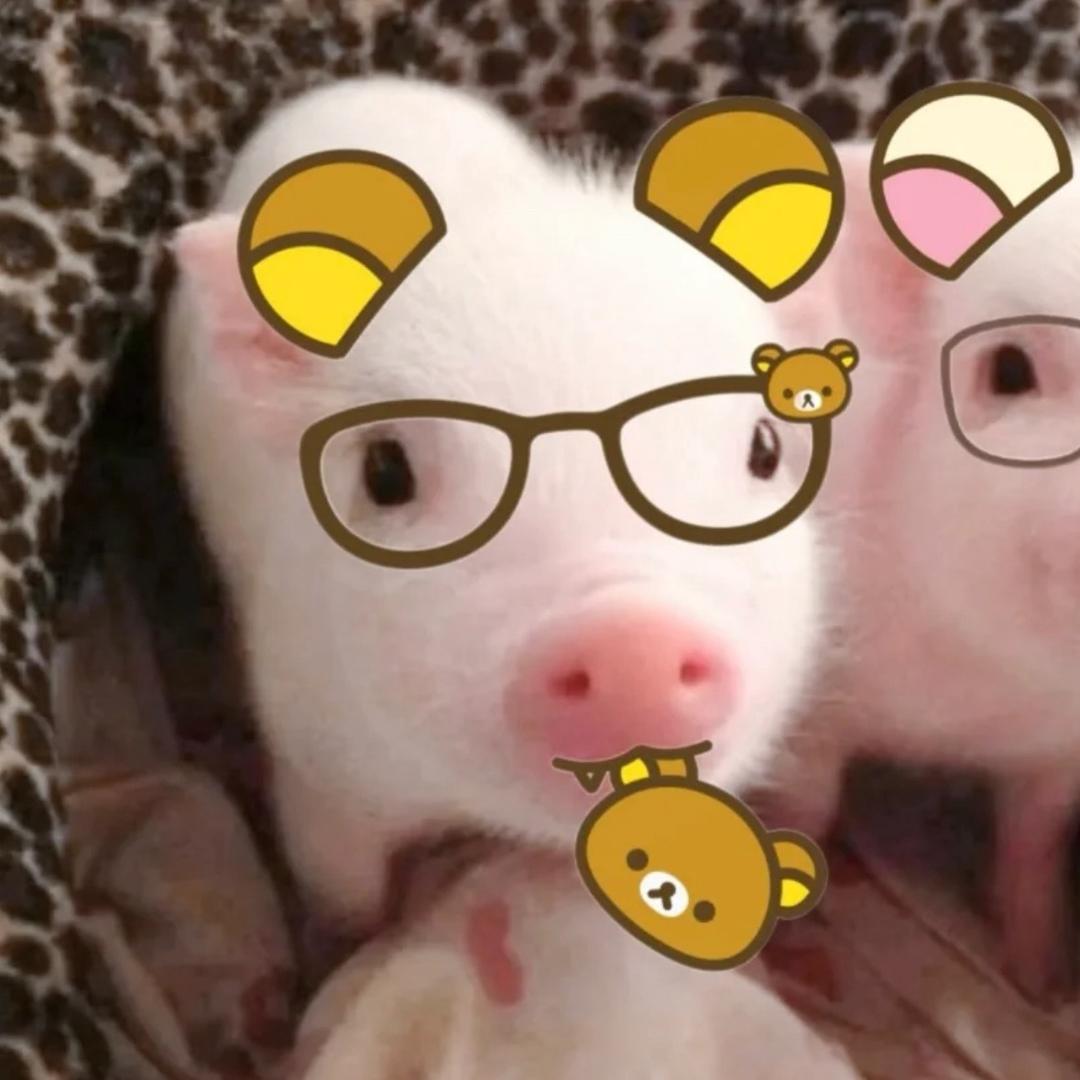 总说小婷笨