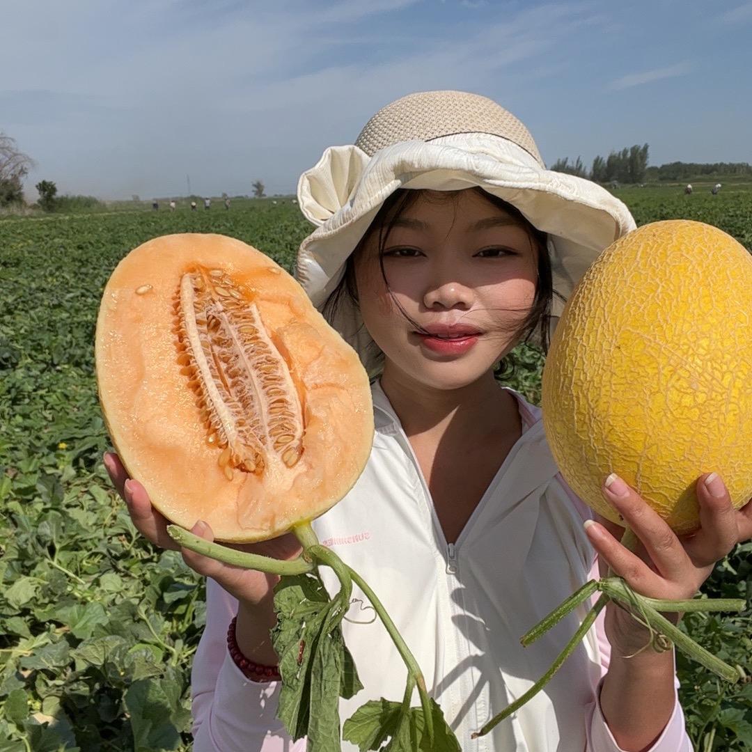 陶子妹妹