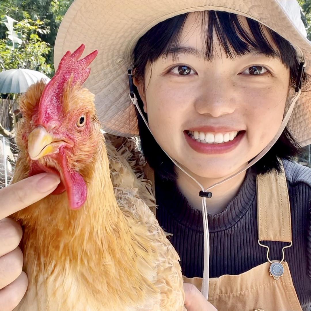 村里的燕子