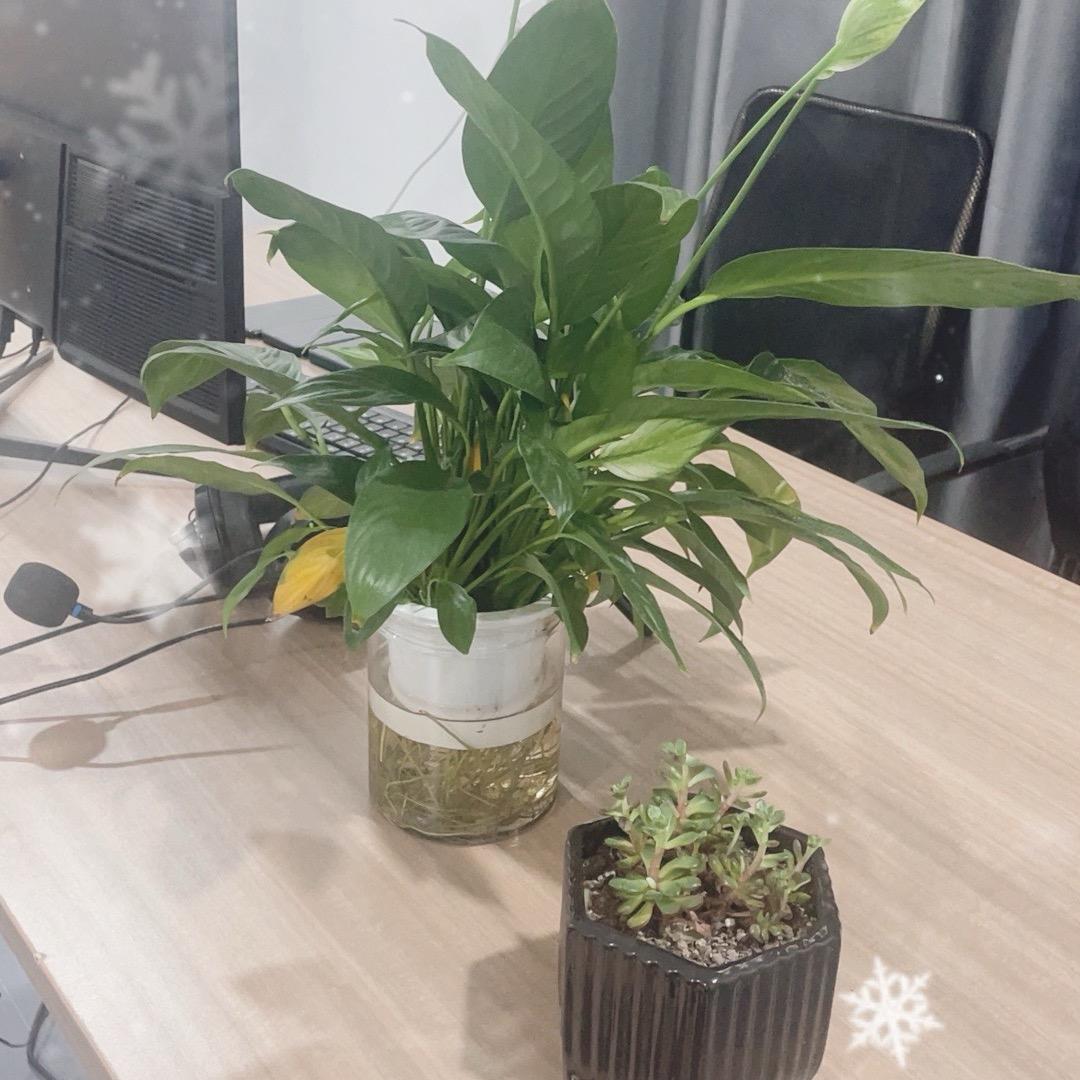 指路人🚶‍♀️‍➡️