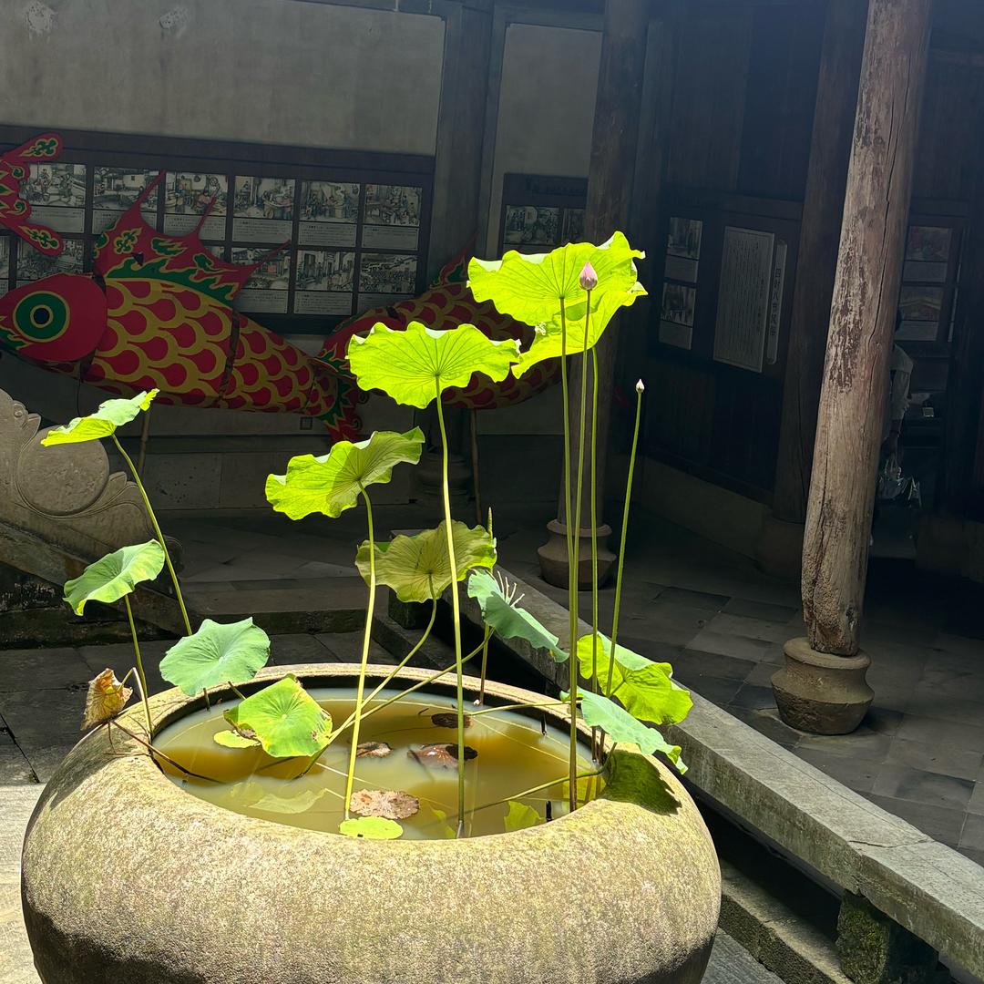 迷途