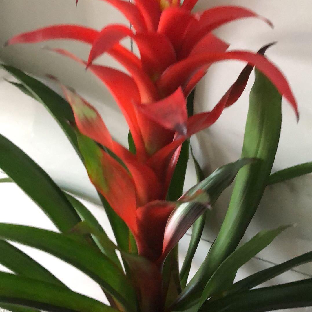 张美荣