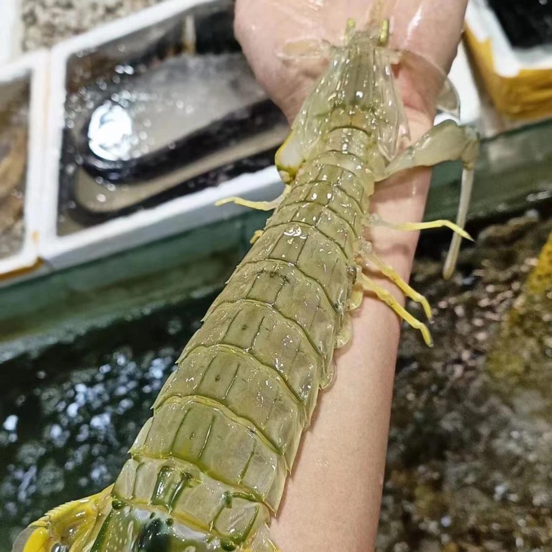福聚鲜海鲜甄选