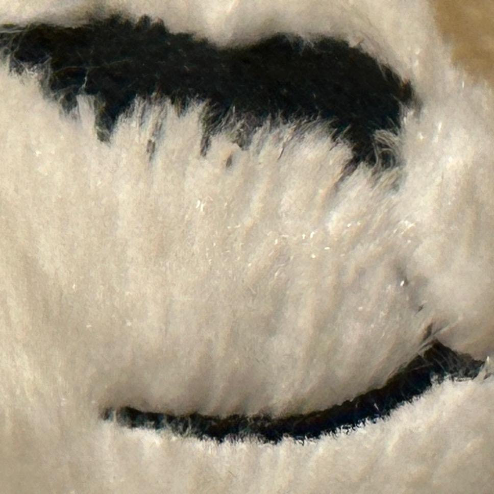 𝒮𝒶𝓂𝓊𝑒𝓁