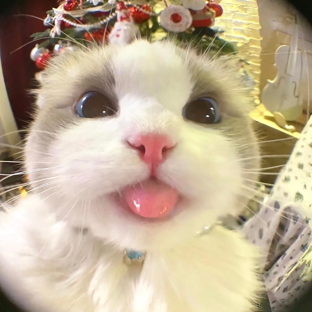 时间（接代陪）