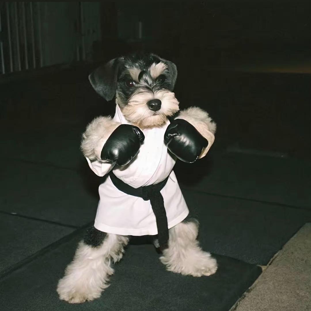 ｄｉｕｄｉｕｄｉｕ