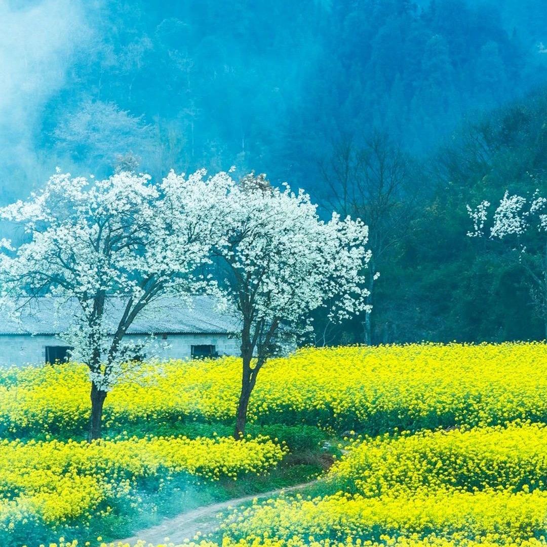 福地🐝