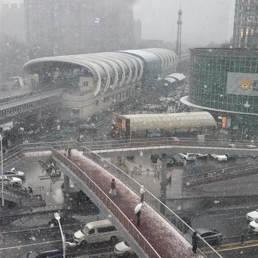 🐠金鱼❄️