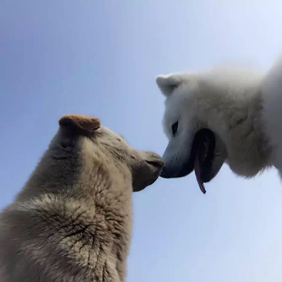 静好一生