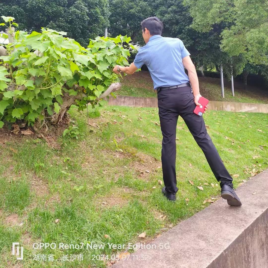 曾经的快乐只是曾经，《从头再来》