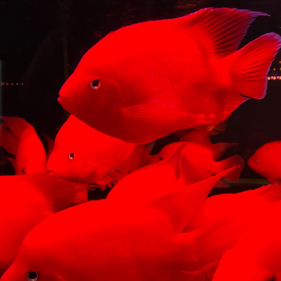 乐享水族生活专门店