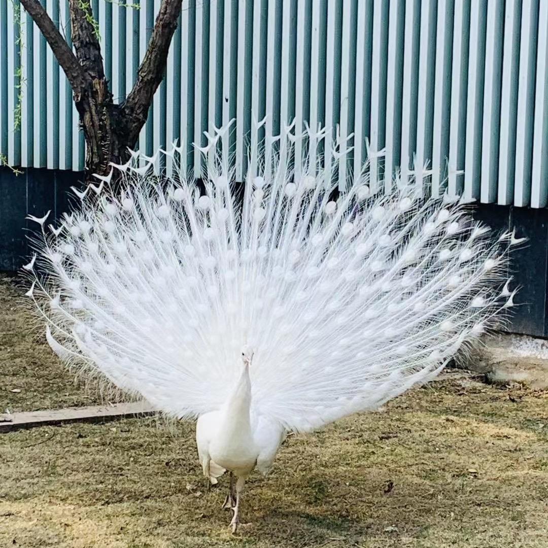 有想像，心情不一样