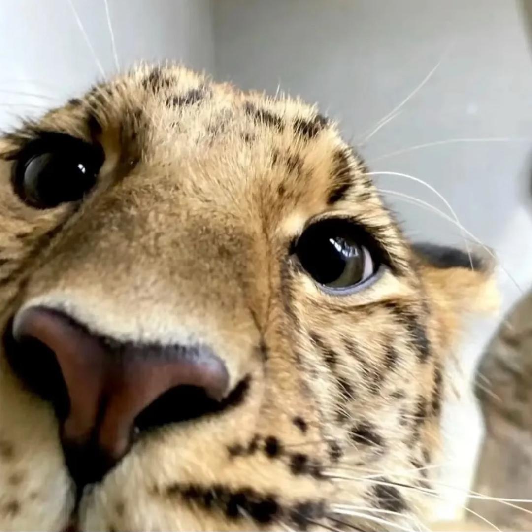 可持续性发槑🌍