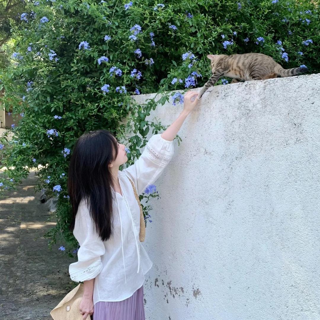 辰辰家居