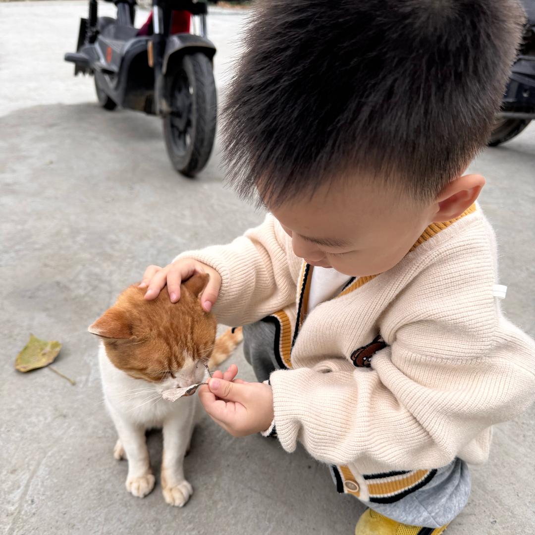 廷廷