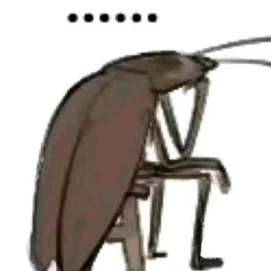 小世大人