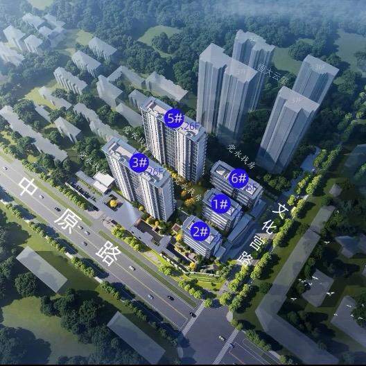 龙湖中原颂～阿木木