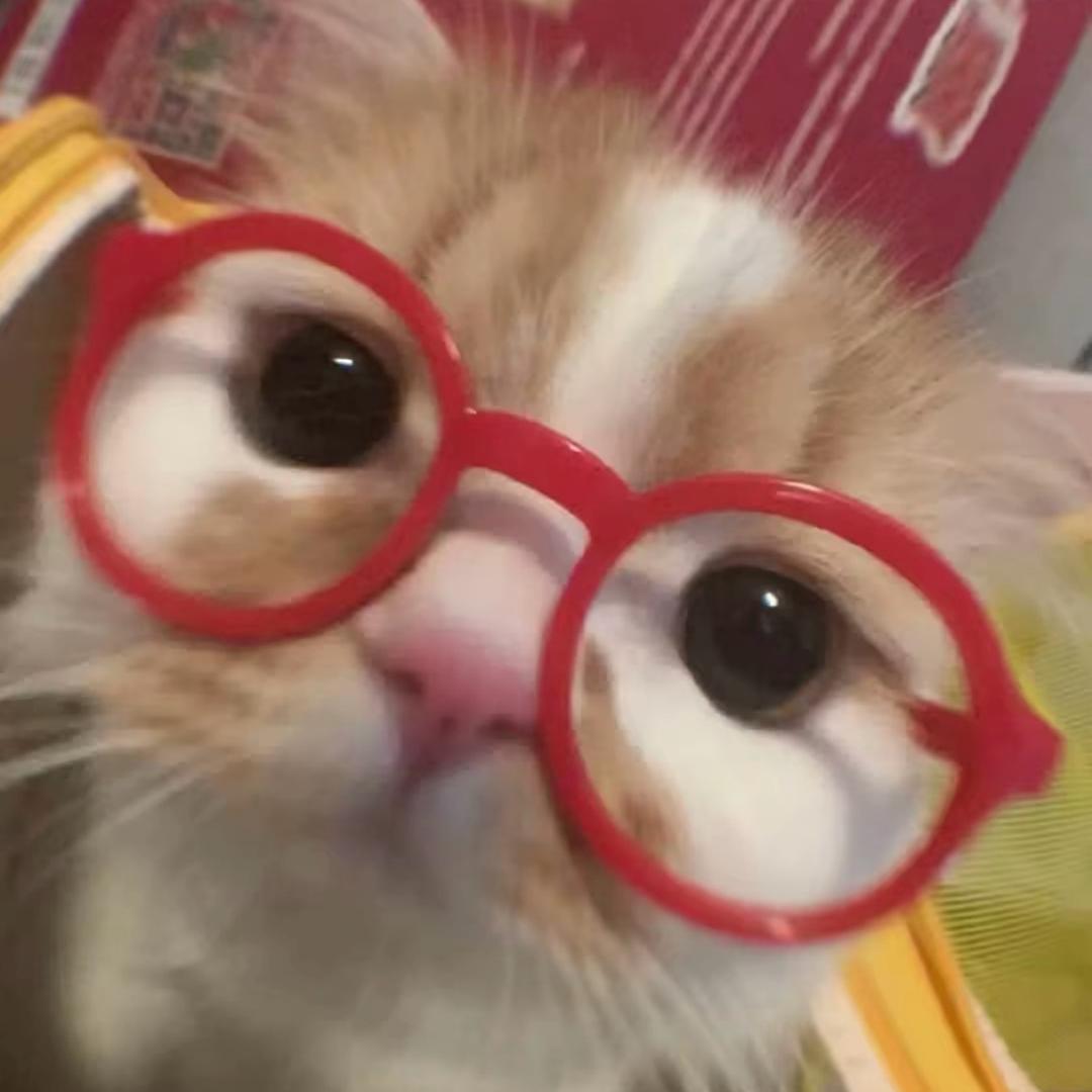 歪比巴卜卜