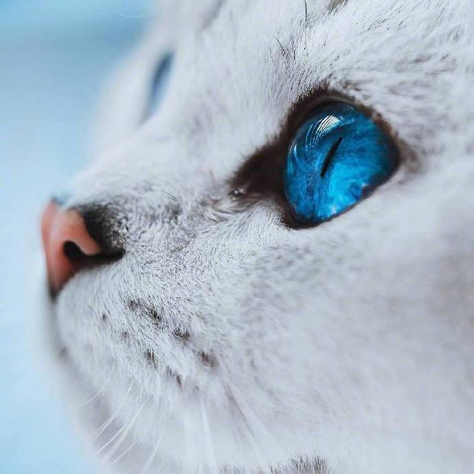 悠望