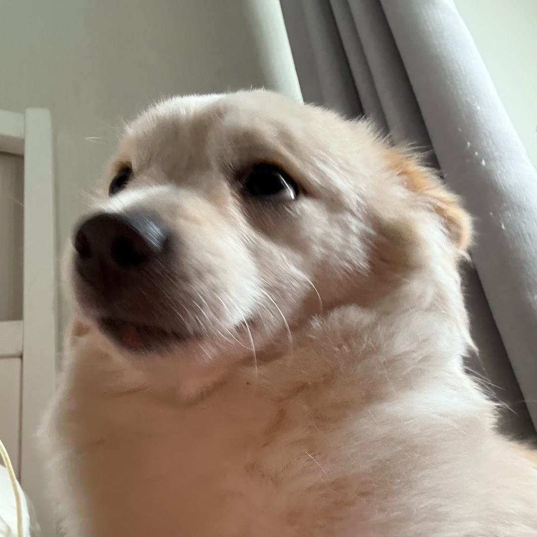 spike