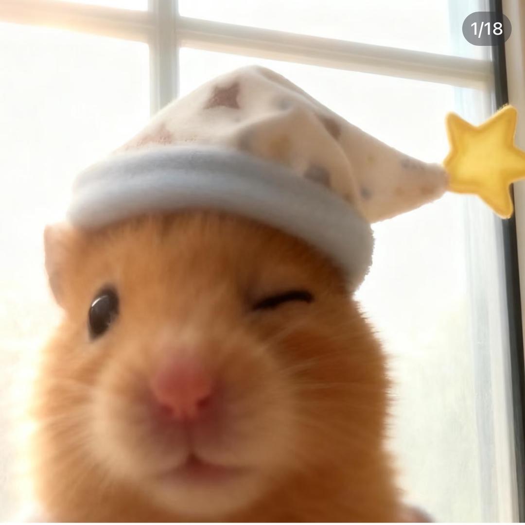 你在胡说八道什么