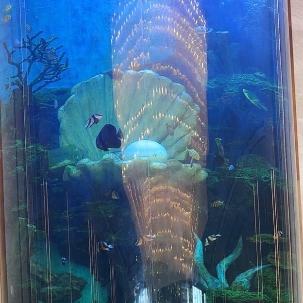 海滨城市