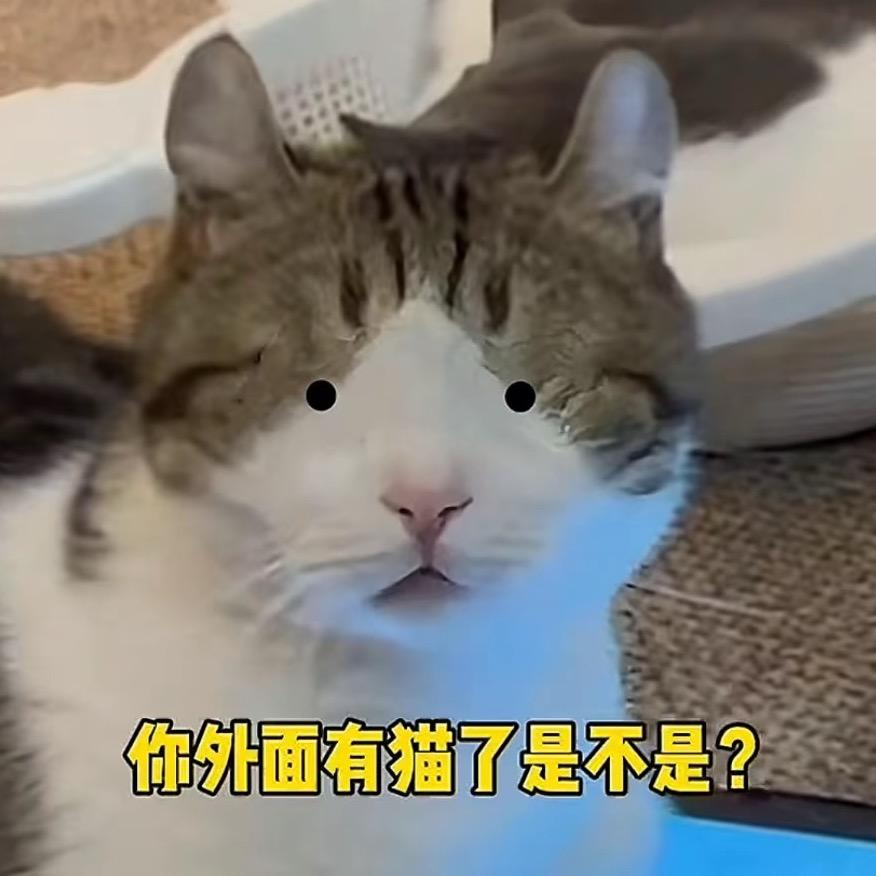 妩媛
