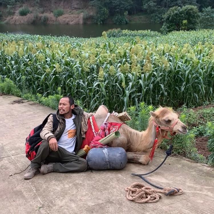 马四