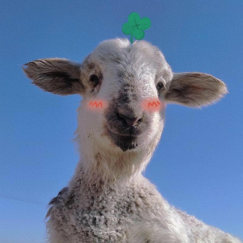 阳咩咩🐑