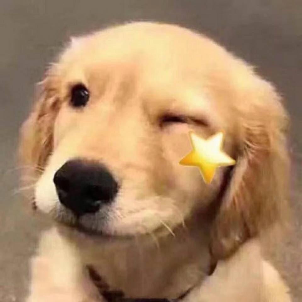 木木啊🐶